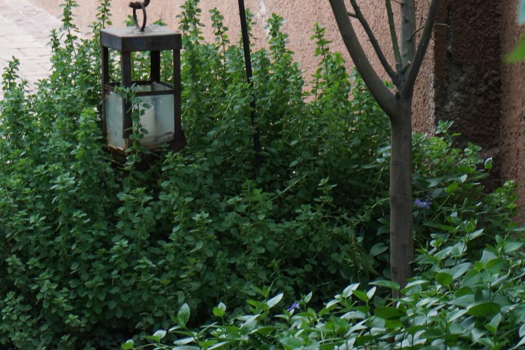 Bed and breakfast Casa Lila 3*