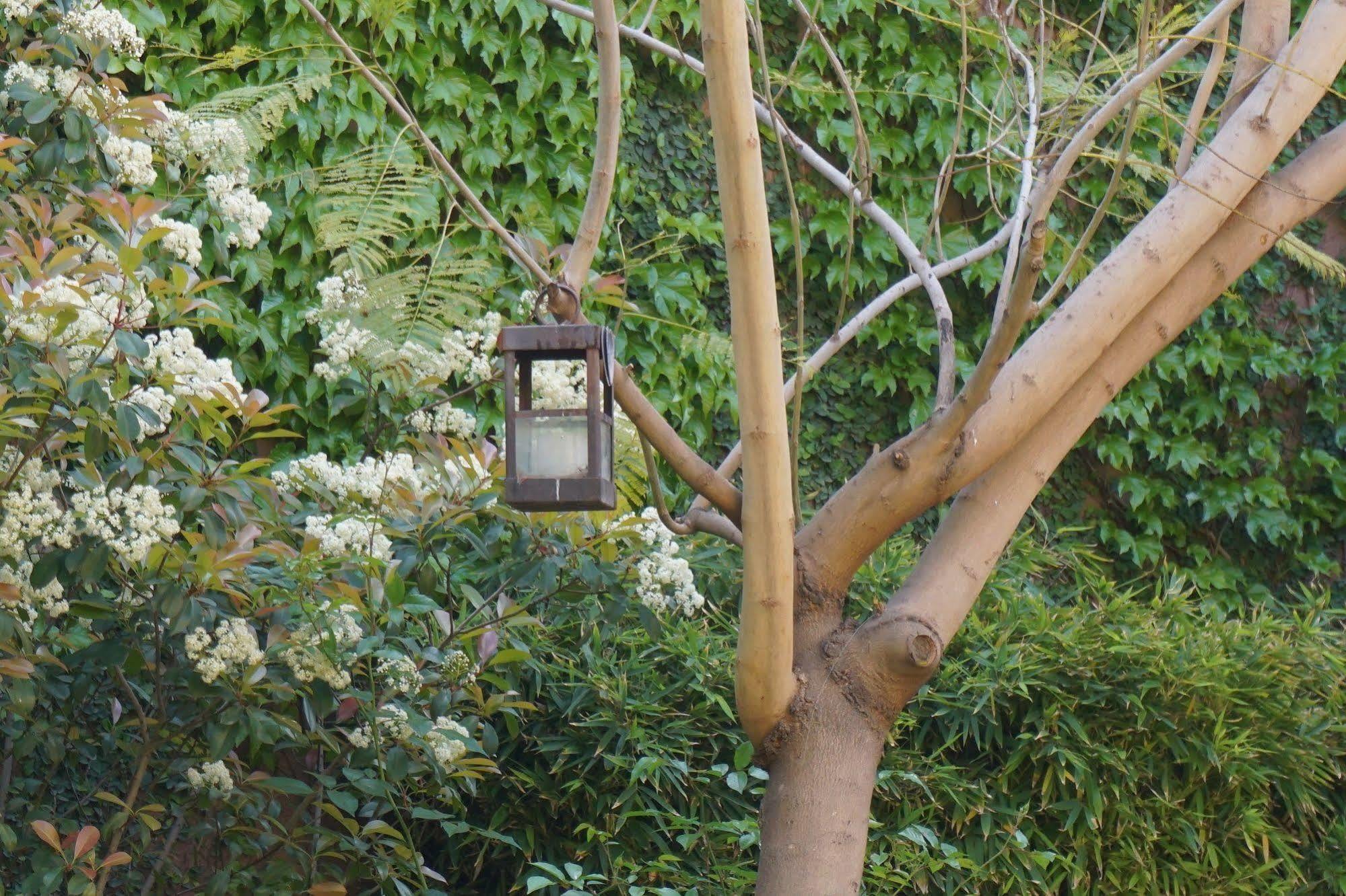 Casa Lila Bed and breakfast Mendoza