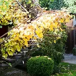 Casa Lila