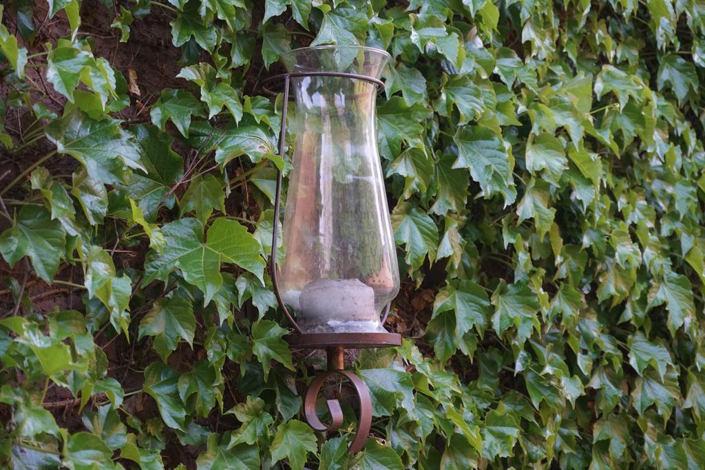 Casa Lila Bed & Breakfast