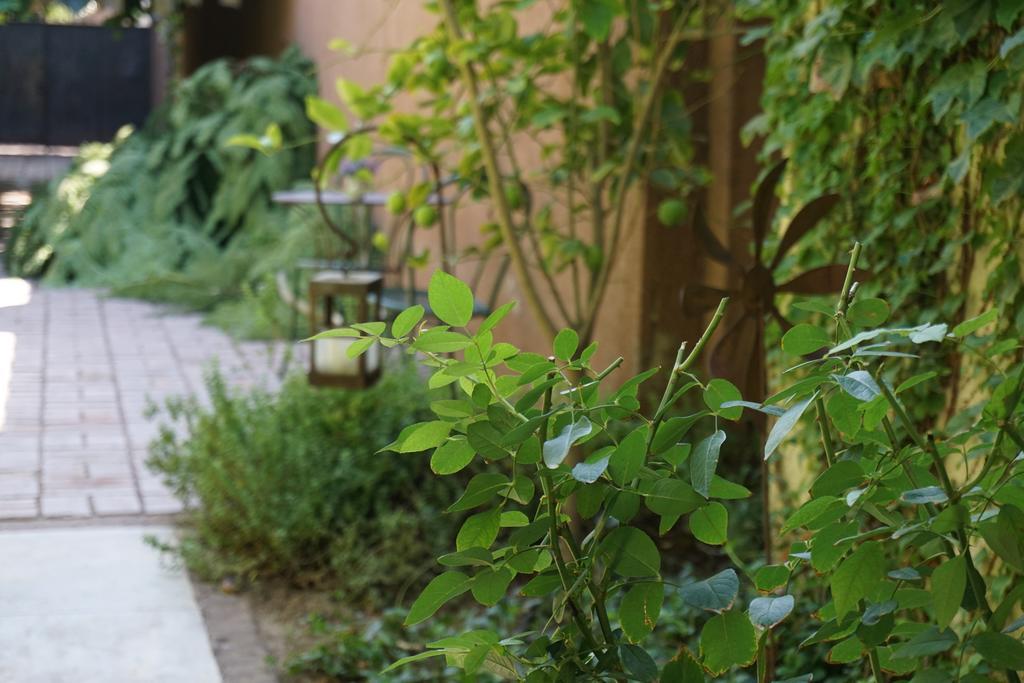 Casa Lila 3* Mendoza